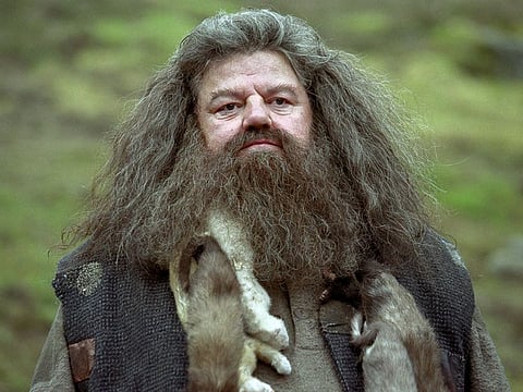 Robbie Coltrane as Rubeus Hagrid in the Harry Potter films