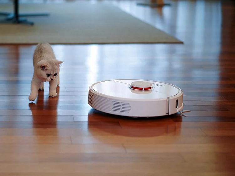 robot vacuum