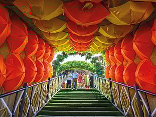 Dubai Miracle Garden reopens with new exhibits, installations