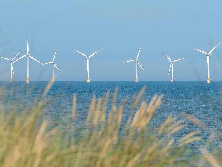 Stock-Skyborn-Renewables-1