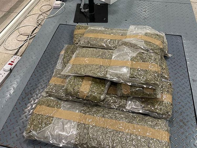 DRUGS11kg-1666250835840