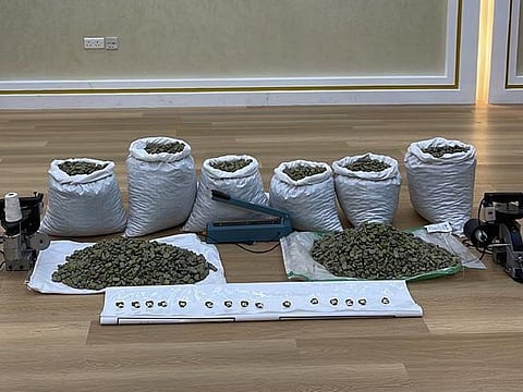 The tip off indicated that the illegal substances were hidden in a legumes shipment and stored at a warehouse