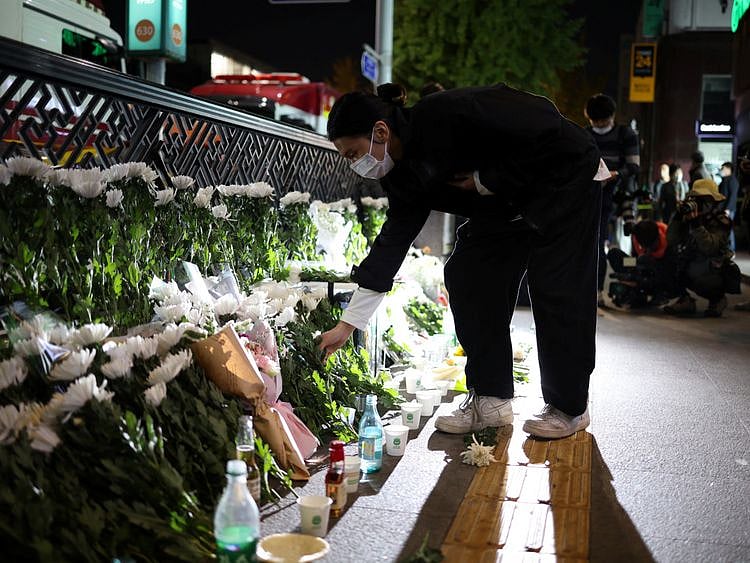 korea flowers-1667123938590