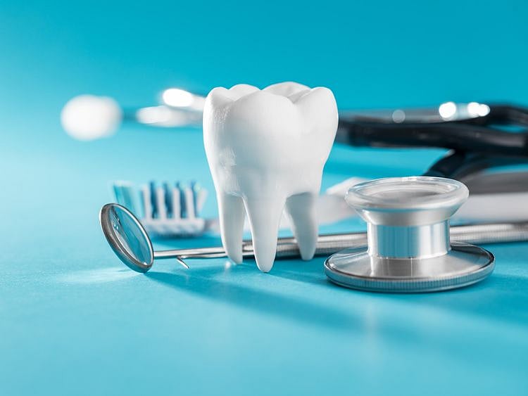 shutterstock_1069579256-1667464597254