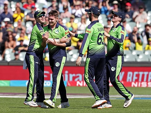 Ireland's Joshua Little celebrates the dismissal of New Zealand's James Neesham during the T20 World Cup against New Zealand.