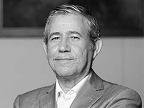 The UAE is busy expanding the agricultural base despite all the obstacles in the form of weather and landscape. 