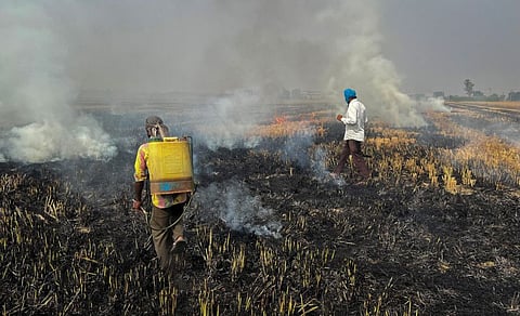 Farmers burn crop stubble in a rice field at a village in Fatehgarh Sahib district in the northern state of Punjab, India, November 4, 2022.  