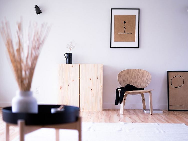 Japandi decor in a living room with plant