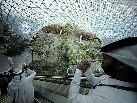 Look: Qatar unveils mini forest inside airport terminal ahead of FIFA World Cup