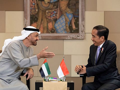 Sheikh Mohamed bin Zayed Al Nahyan speaks with Joko Widodo during a memorandum of understanding announcement on the sidelines of the B20 Summit at Bali Nusa Dua Convention Center.