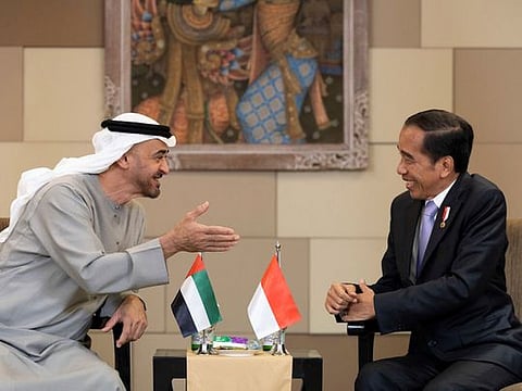 Sheikh Mohamed bin Zayed Al Nahyan speaks with Joko Widodo during a memorandum of understanding announcement on the sidelines of the B20 Summit at Bali Nusa Dua Convention Center.
