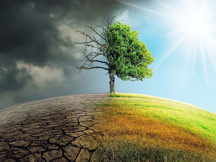 STOCK Climate change