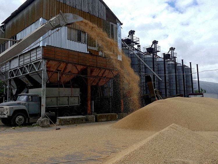 ukrainegrain-1668673518303