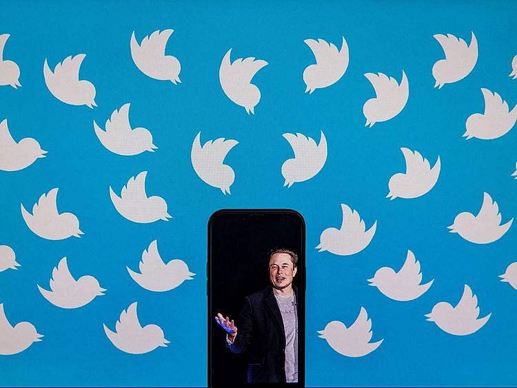 20221122 elon