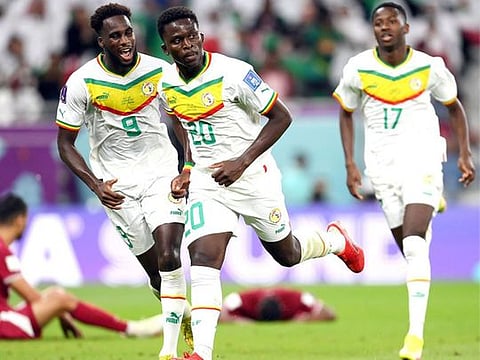 FIFA World Cup Qatar 2022: Hosts Qatar eliminated following Senegal defeat and Ecuador's draw with Netherlands