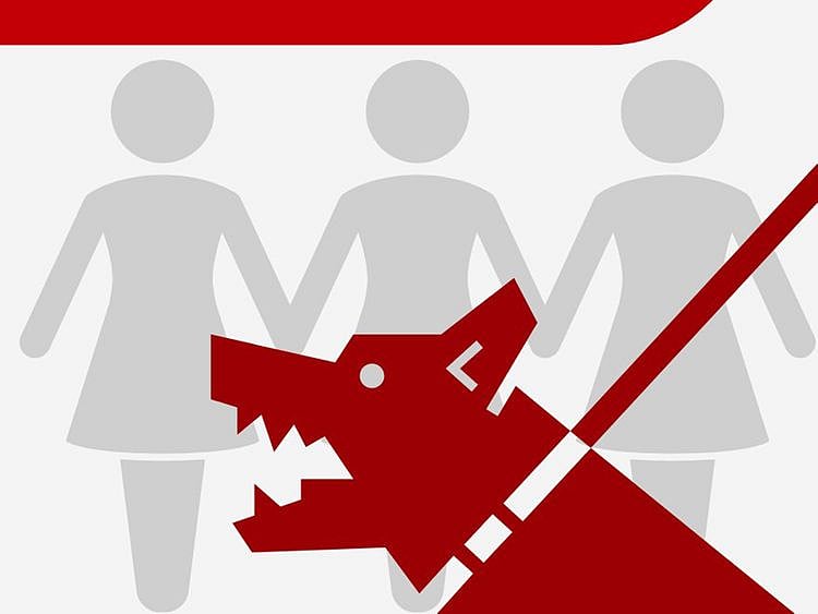 fujairah police seek 3 girls whose dog attacked family