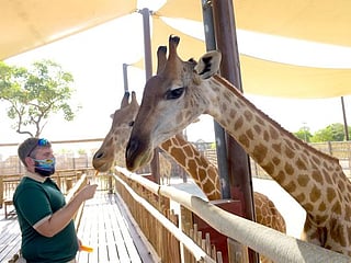 Dubai Safari turns 5, welcomes 153 newborns of endangered animals