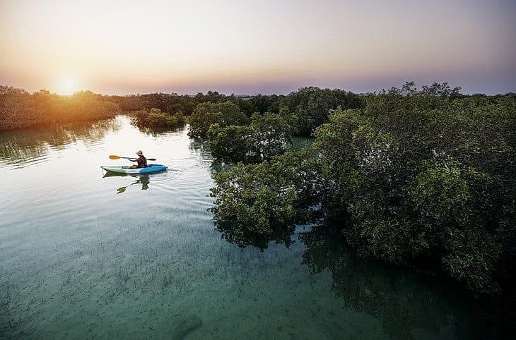Eastern Mangrove National Park