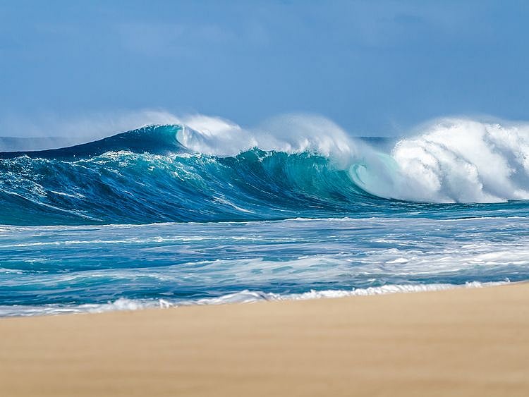 Three killed, 17 injured by freak wave at South African beach