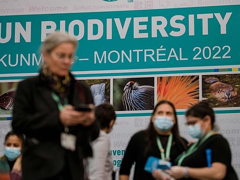 People walk in front of the convention sign at theUN Biodiversity Conference (COP15) in Montreal, Quebec, Canada, on December 17, 2022.