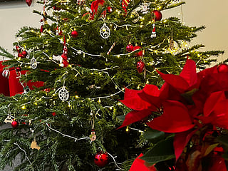 UAE: Five Gulf News readers share photos of their Christmas trees décor at home and in the office