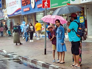 After the rain: UAE health authorities share tips and advice on how to stay safe 