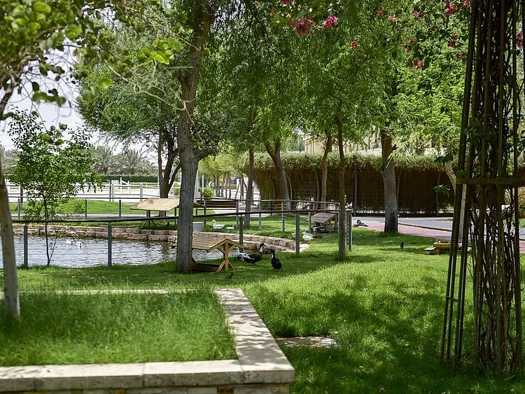 NAT 220721 THE SUSTAINABLE CITY DXB ARAMZAN 9-1672152878758