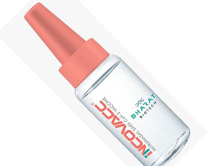nasal1