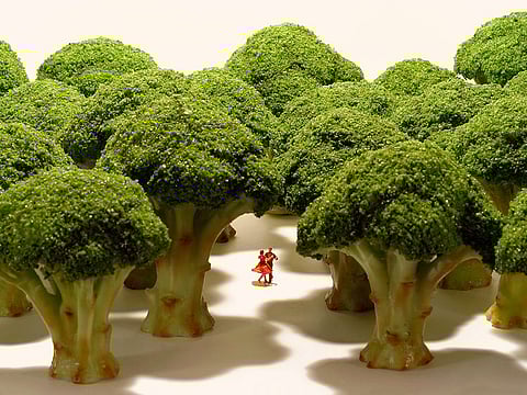 Welcome to Tanaka's universe of mini trees and fingernail-sized inhabitants.