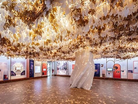 A vIew of the Solutions Room on the ground floor