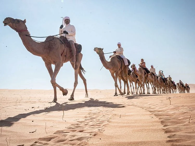 CAMEL