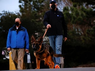 Photos: Biden's new German shepherd draws attention from pup-arazzi