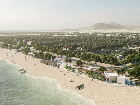  The plan also includes the launch of 50 development projects for the youth in the region.