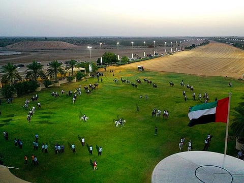 The Dubai International Endurance City at Seih Assalam will be hosting the Dubai Crown Prince Endurance Cup on Saturday.
