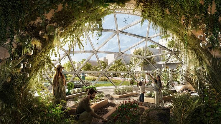 Sustainable City - Yas Island_Biodome Interior-1673017822626