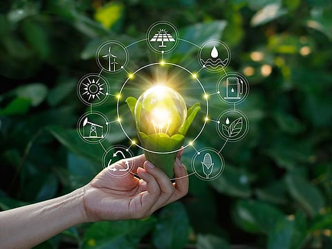 Vegetation management is something that energy networks need to deal with. But there are better ways of handling it. 