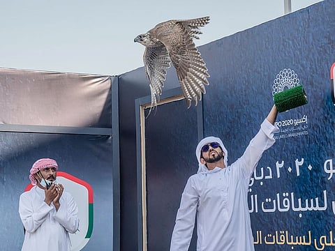 The latest showdown will mark the second edition of Shield for National Falcon Breeding