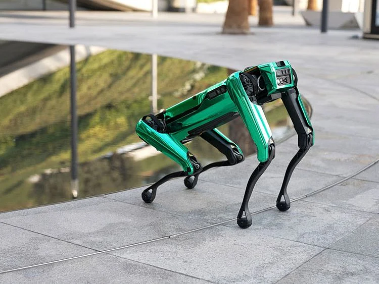 robot dog of Museum of the Future in Dubai