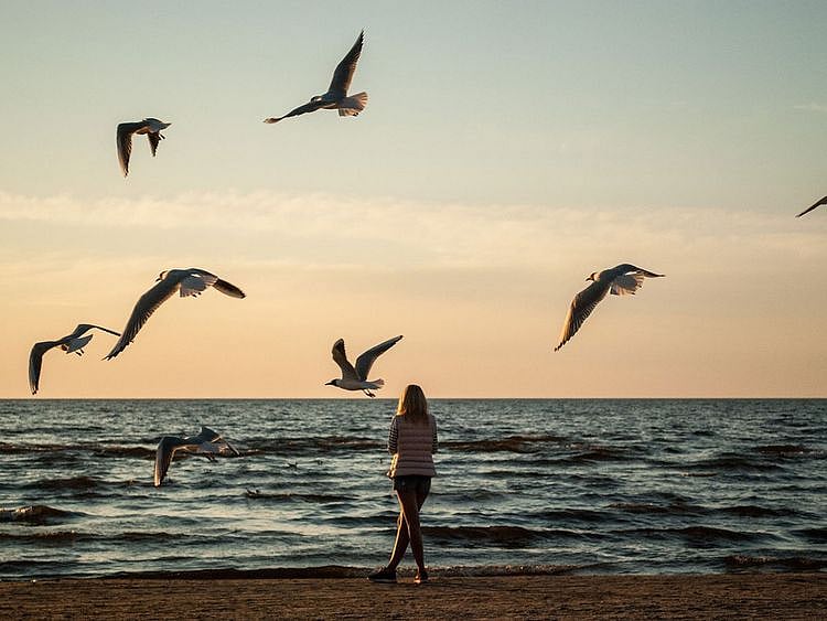 STOCK - woman beach lonely thoughtful sea