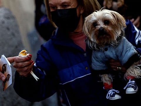 Photos: Spanish pets blessed by priests in annual ritual
