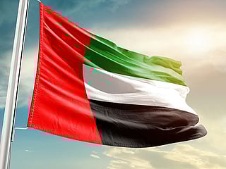 UAE flag