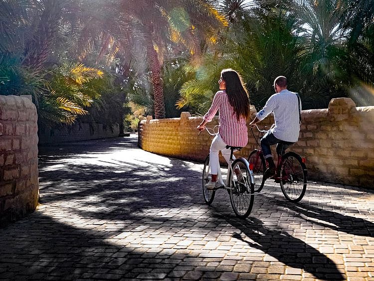 AL AIN OASIS