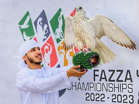 More than 3,000 birds from 700 local and regional falconers will compete in the inaugural His Highness Sheikh Mohammed bin Rashid Al Maktoum Falcon Racing Cup starting on January 30 in Dubai.