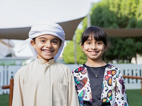 Information about each Emirati and expat household in the emirate will be gathered 