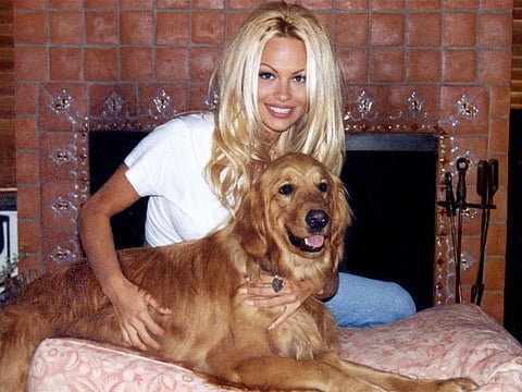 A still from the Netflix docuseries 'Pamela Anderson: A Love Story', out now