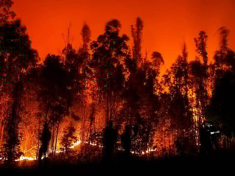 People fight a fire in Puren, Araucania region, Chile on February 4, 2023. - Chile has declared a state of disaster in several central-southern regions after a devastating heat wave provoked forest fires.