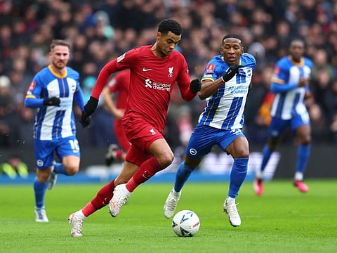 Liverpool's Cody Gakpo has found adjusting to the Premier League difficult.