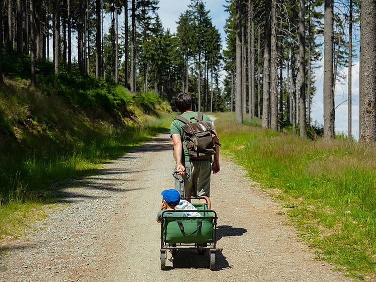 stroller wagon