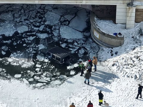 US teen rescues 83-year-old man, dog from icy lake