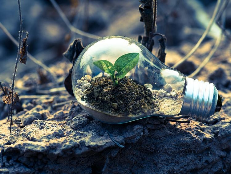 Green economy